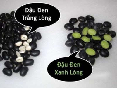 Đậu đen lòng xanh ngâm rượu