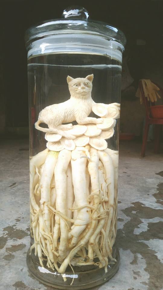 Mèo điêu khắc