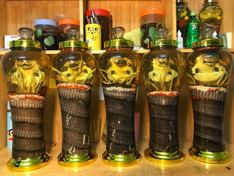 cách ngâm rượu rắn